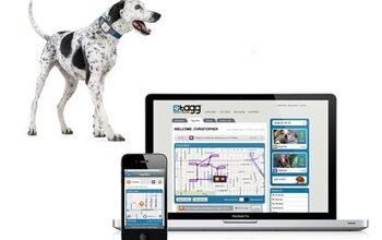 Stay Connected To Your Dog With The Tagg Pet Tracker