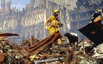Watch Hero Dogs of 9/11 Tonight On Animal Planet