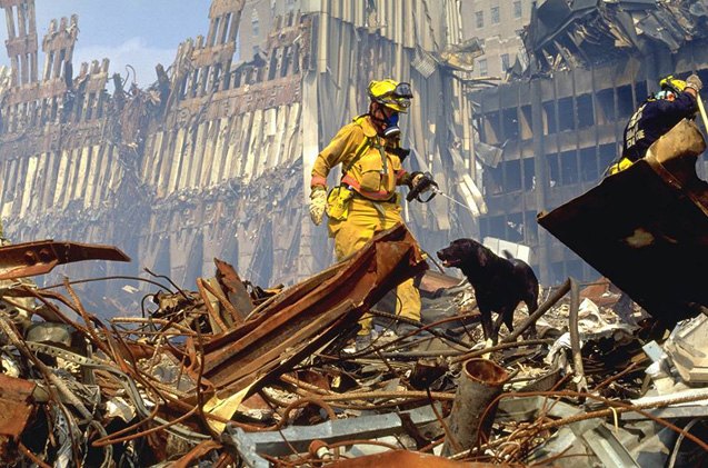watch hero dogs of 9 11 tonight on animal planet
