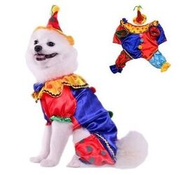 best cute dog halloween costumes