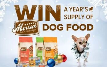 Pawsome Contest – Win A Year’s Supply Of Merrick Dog Food