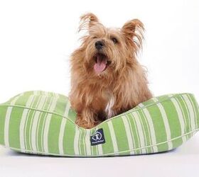 top 10 comfy dog beds