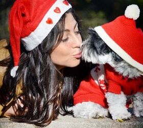 Top 10 Gifts For Dog Lovers