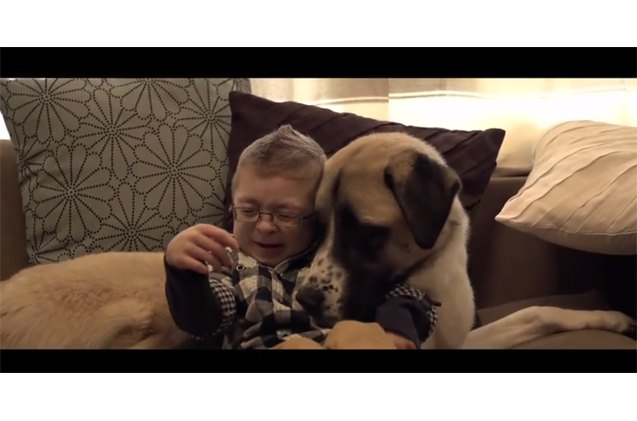 amazing documentary of the bond between disabled boy and three legged dog video