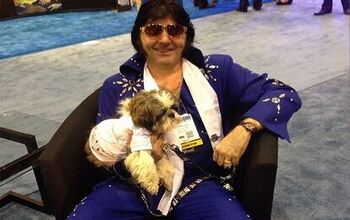 Top 10 Picks From The 2014 Global Pet Expo