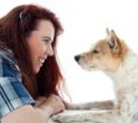expert advice supplements and diet for senior dogs