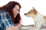 expert advice supplements and diet for senior dogs