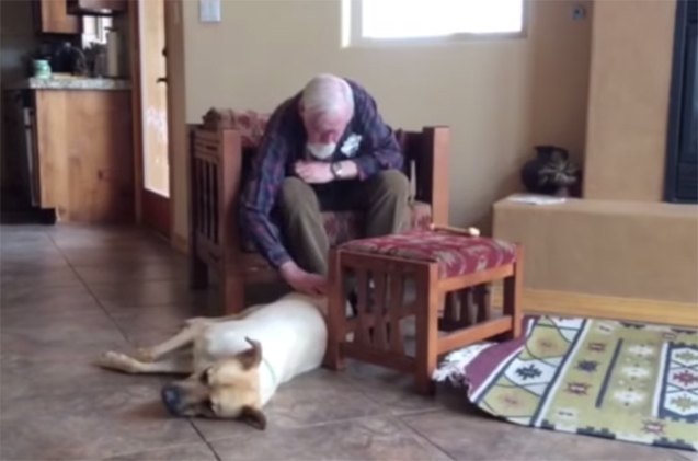 family dog helps man with alzheimer 8217 s speak again video