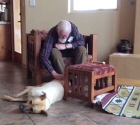 Family Dog Helps Man With Alzheimer’s Speak Again [Video]