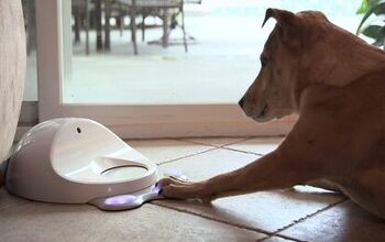 CleverPet Game Console Is “Woof-Fi” Fun For Your Dog