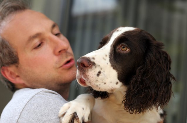 cash for cuddles 8211 survey finds people willing to rent out their pets