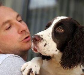 Cash For Cuddles – Survey Finds People Willing To Rent Out Their Pet