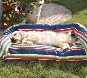 Best Outdoor Dog Beds