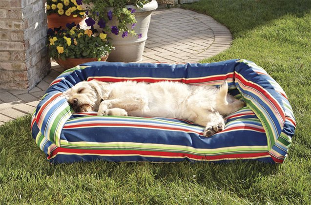 best outdoor dog beds