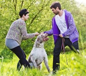 The P.E.T.S. Plan – Four Steps To Divorcing With Pets