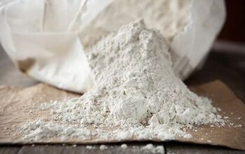The Benefits of Diatomaceous Earth for Dogs