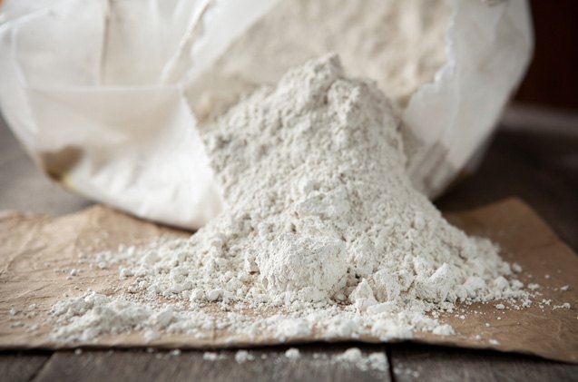 the benefits of diatomaceous earth for dogs