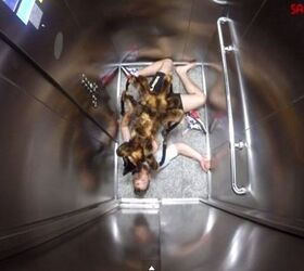 Giant Mutant Spider Dog Terrifies Victims in Hilarious Prank [Video]