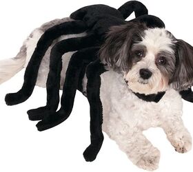 giant mutant spider dog terrifies victims in hilarious prank video