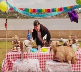 Because All Dogs Deserve A Rap Song On Their Birthday [Video]