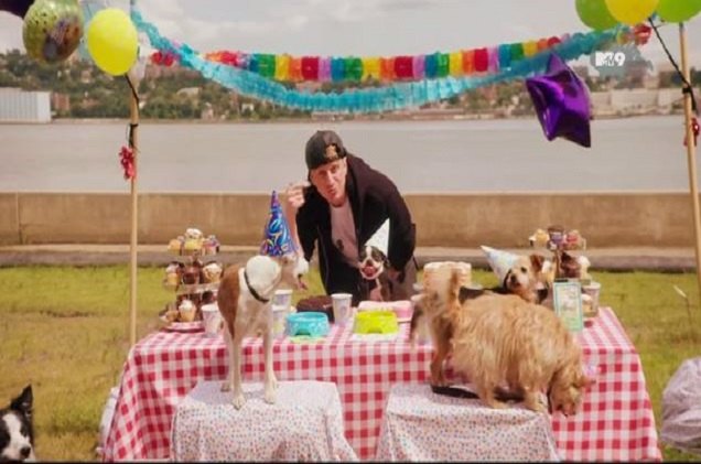 because all dogs deserve a rap song on their birthday video