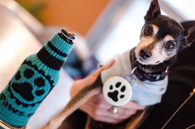 this brew 8217 s for bowser beer for dogs is a cool refreshing trend