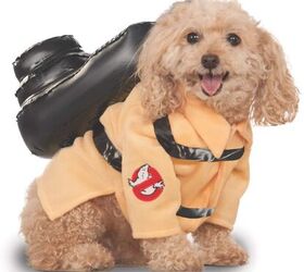 Weiner Dog Halloween Costumes 2022 Top 10 Howlarious Dog Halloween Costumes Petguide