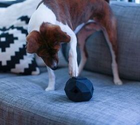 Super Cool Kickstarter Toy Looks Cool And Will Exercise Your Dog’s G