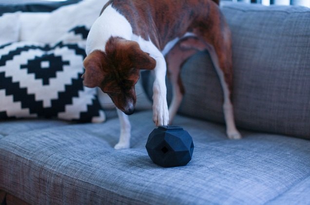 super cool kickstarter toy looks cool and will exercise your dogs g