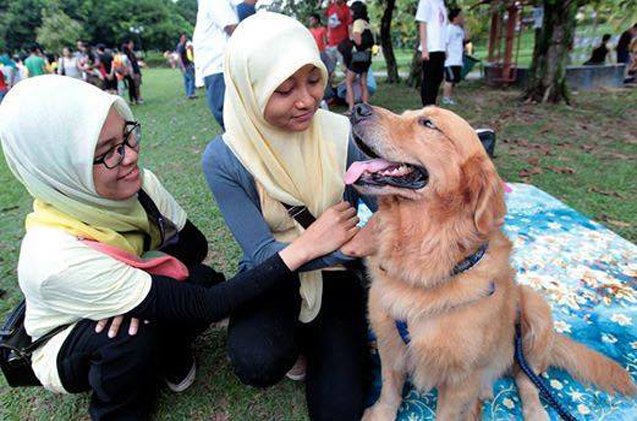 malaysian 8220 i want to touch a dog 8221 event a surprise success