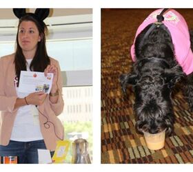 a blast at barkworld barks and meows abound at pet blogger conference