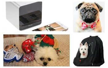 Top 10 Holiday Gift Guide For Dogs 2014