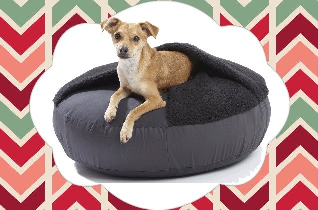 top 10 holiday gift guide for dogs 2014
