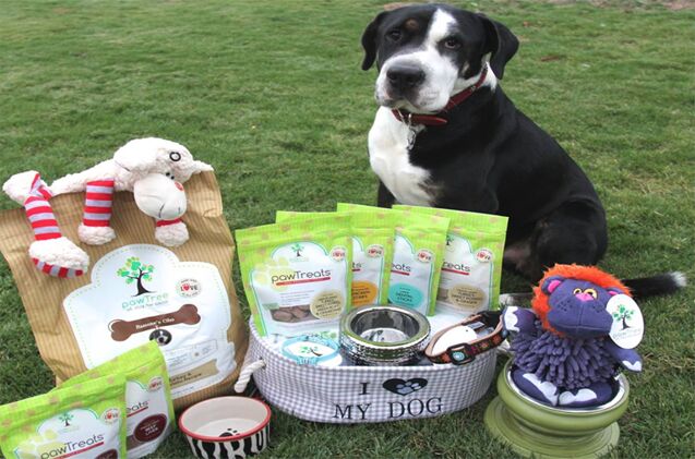 customized dog food from pawtree has your dog 8217 s name all over it