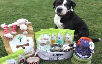 Customized Dog Food From PawTree Has Your Dog’s Name All Over It