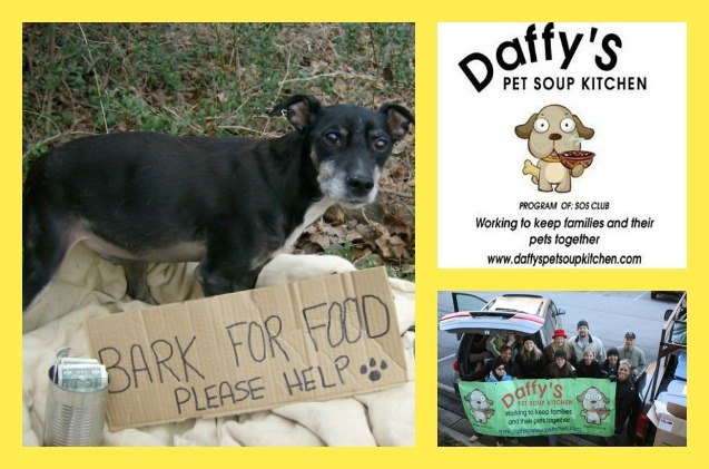 tis the season for giving daffy 8217 s pet soup kitchen helps pets in need
