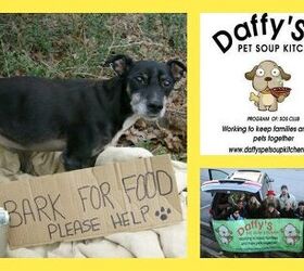 ‘Tis The Season For Giving – Daffy’s Pet Soup Kitchen Helps Pets