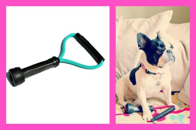 top 10 etsy dog inspired gift giving guide 2014