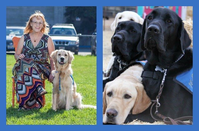 amazing therapy dogs help diabetics live healthier happier lives