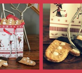 It’s All Greek Yogurt To Me Dog Treat Recipe PetGuide