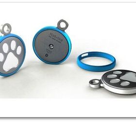 Tag, You’re It! Play-tag Is The Smart ID System For Wanderlust Dogs