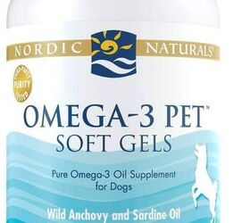 best supplement for dog dry skin