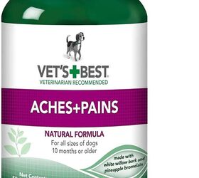top 5 best supplements for dry skin on dogs