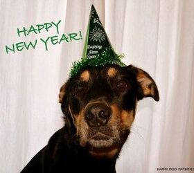 ask the hairy dogfathers new years resolutions