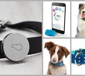 Top 10 Tech Accessories To Help Fido Get Fit