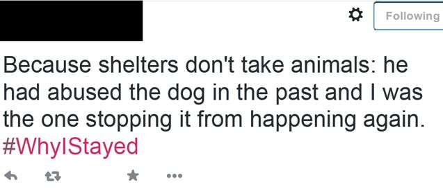 whyileft because pets are now allowed in more womens shelters