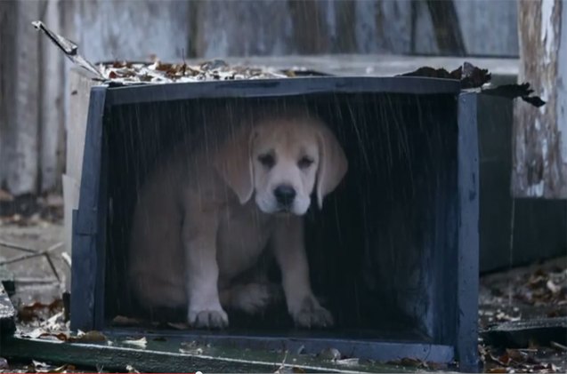 bestbuds are back in budweiser 8217 s 2015 super bowl commercial video
