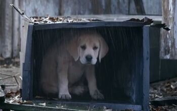 #BestBuds Are Back In Budweiser’s 2015 Super Bowl Commercial [Video]