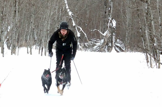 8 tips on how to prepare for your first skijoring race