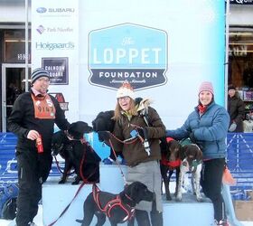 8 tips on how to prepare for your first skijoring race